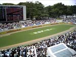 05/05/29：「厳選競馬・軸馬絶対主義　投資競馬のススメ」ディープインパクト・日本ダービー応援ツアー　in東京競馬場　その1